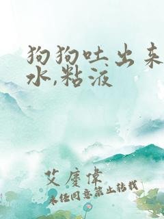 狗狗吐出来的黄水,粘液