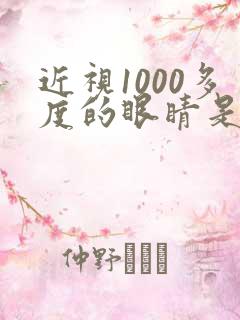 近视1000多度的眼睛是怎样