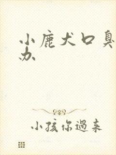 小鹿犬口臭怎么办