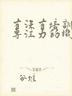 有没有培训孩子专注力的机构