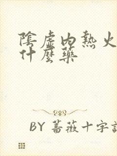 阴虚内热火旺吃什么药