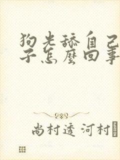 狗光舔自己的爪子怎么回事