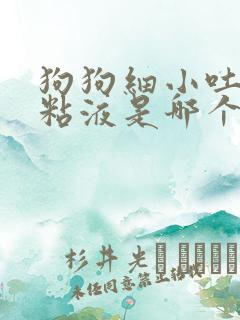 狗狗细小吐白色粘液是哪个阶段