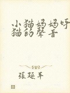 小猫妈妈呼唤小猫的声音