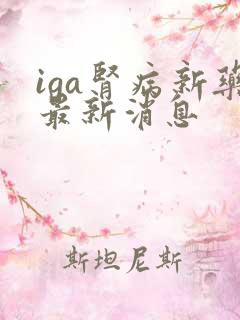 iga肾病新药最新消息