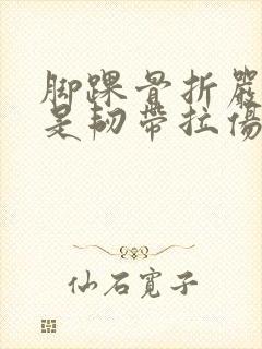 脚踝骨折严重还是韧带拉伤严重