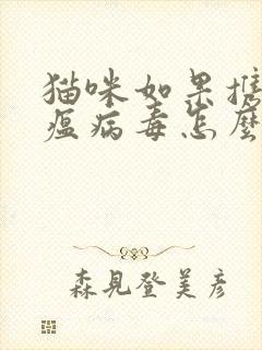 猫咪如果携带猫瘟病毒怎么办