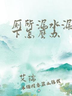 厕所漏水漏到楼下怎么办