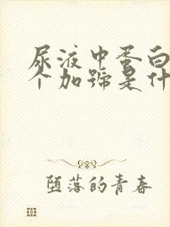 尿液中蛋白质3个加号是什么意思