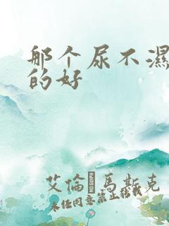 那个尿不湿牌子的好