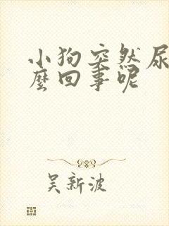 小狗突然尿血怎么回事呢