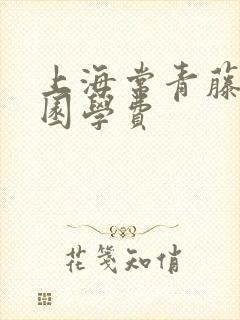 上海常青藤幼儿园学费