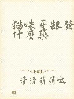 猫咪牙龈发红吃什么药