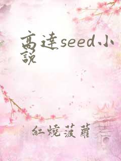 高达seed小说