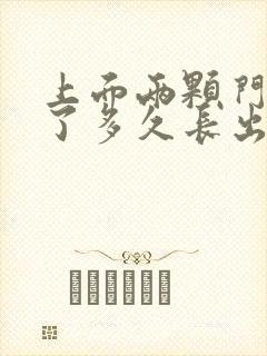 上面两颗门牙掉了多久长出来