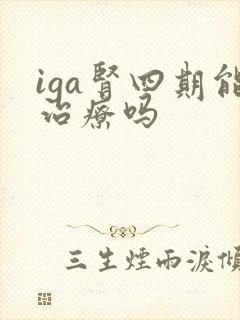 iga肾四期能治疗吗