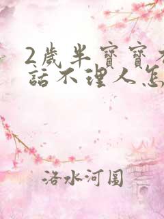 2岁半宝宝不说话不理人怎么回事