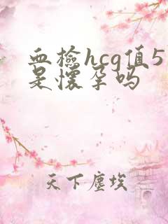 血检hcg值5是怀孕吗