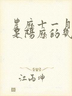 农历十一月十四是阳历的几月几日