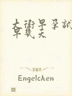 大卫早孕试纸最早几天