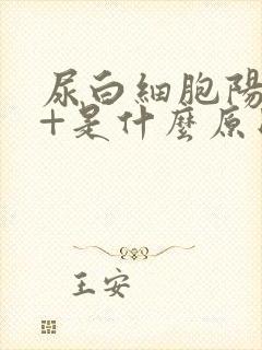 尿白细胞阳性2+是什么原因