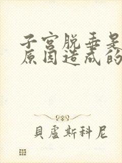 子宫脱垂是什么原因造成的该怎样治疗