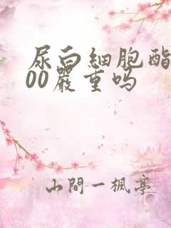 尿白细胞酯酶500严重吗