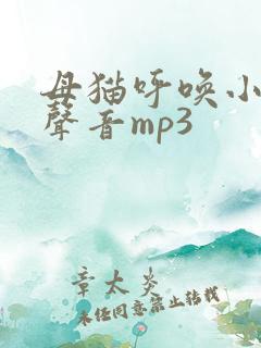 母猫呼唤小猫的声音mp3