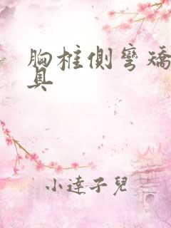 胸椎侧弯矫正支具