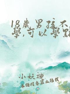 18岁男孩不上学,可以学点什么东西