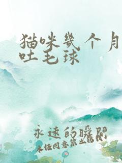 猫咪几个月开始吐毛球