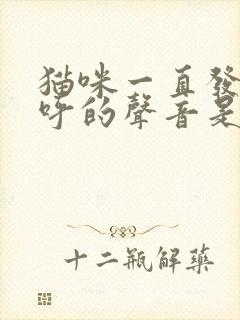 猫咪一直发出呼呼的声音是怎么回事