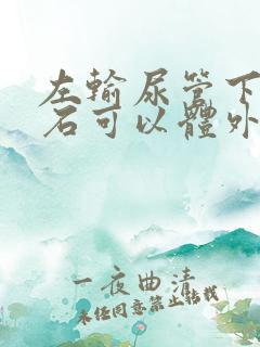 左输尿管下段结石可以体外碎石吗