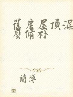 旧房屋顶漏水怎么修补