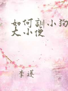 如何训小狗定点大小便