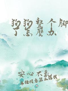 狗狗整个脚都烂了怎么办