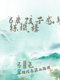 6岁孩子感统训练机构