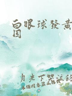 白眼球发黄的原因