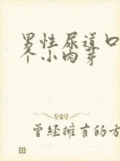 男性尿道口长了个小肉芽