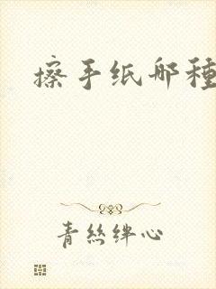 擦手纸哪种最好