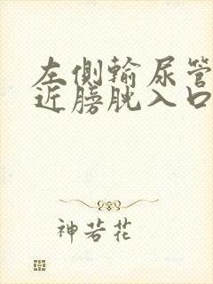 左侧输尿管下段近膀胱入口处结石