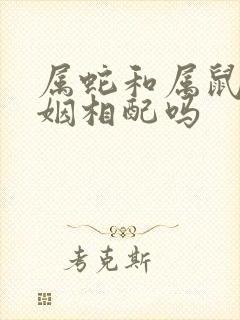 属蛇和属鼠的婚姻相配吗