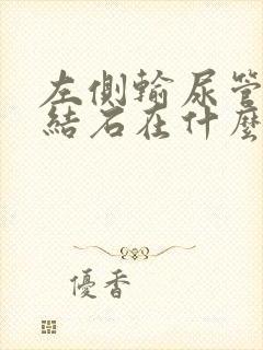 左侧输尿管腹段结石在什么位置图片