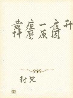 黄疸一夜升高是什么原因