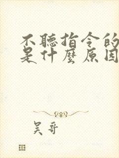 不听指令的孩子是什么原因