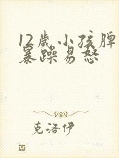 12岁小孩脾气暴躁易怒