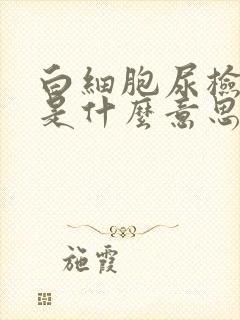 白细胞尿检2+是什么意思