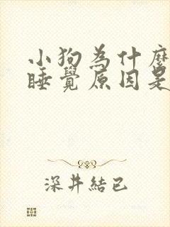 小狗为什么老是睡觉原因是什么