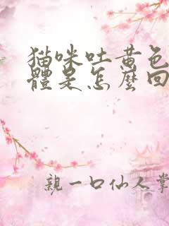 猫咪吐黄色的液体是怎么回事