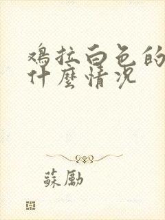 鸡拉白色的屎是什么情况